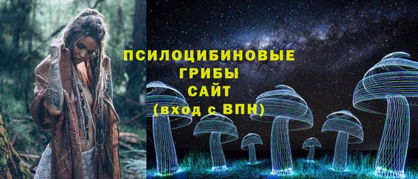 тгк Новокубанск
