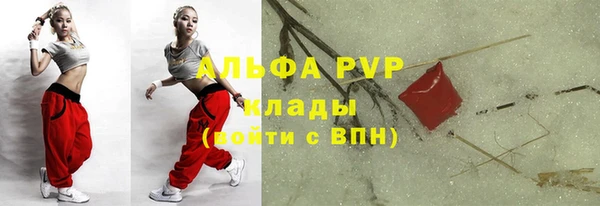 гашик Новодвинск
