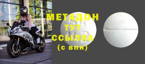 сатива Новозыбков