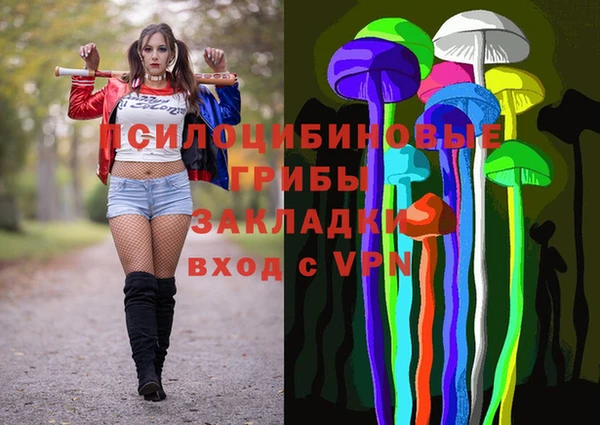 сатива Новозыбков
