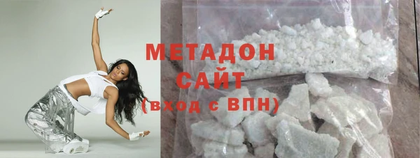 сатива Новозыбков
