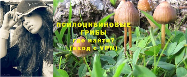 тгк Новокубанск