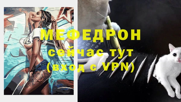 сатива Новозыбков