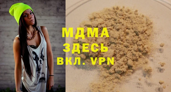 сатива Новозыбков