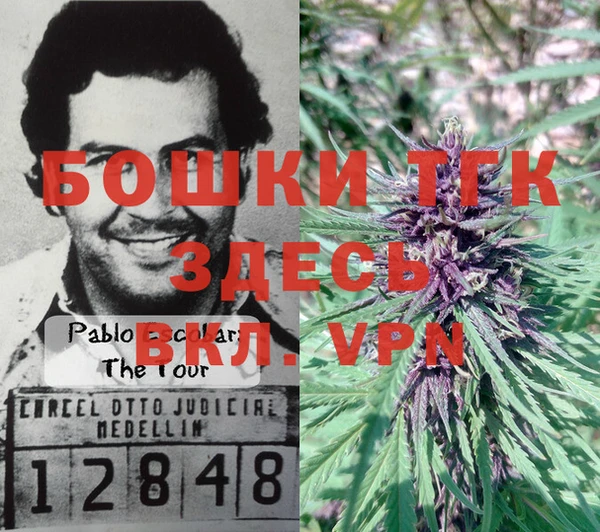 тгк Новокубанск