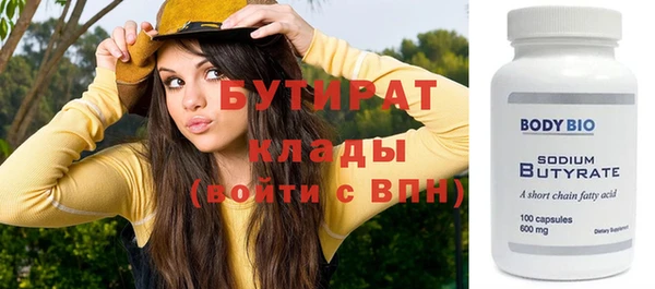 сатива Новозыбков