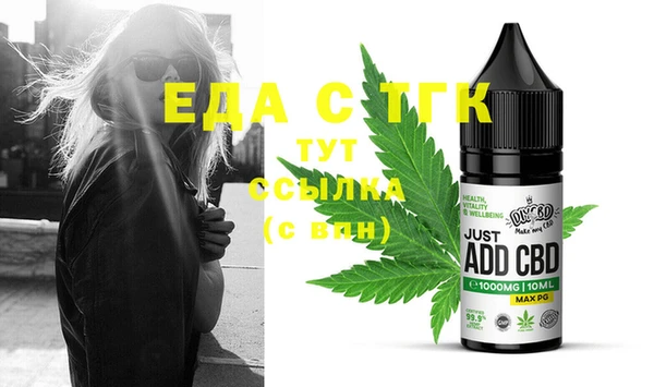 сатива Новозыбков