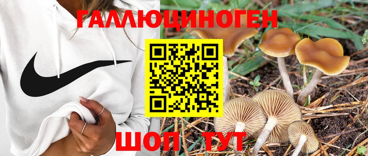 Псилоцибиновые грибы Magic Shrooms  продажа наркотиков  Канск 